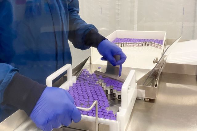 A purple tray of vials with the COVID-19 vaccine